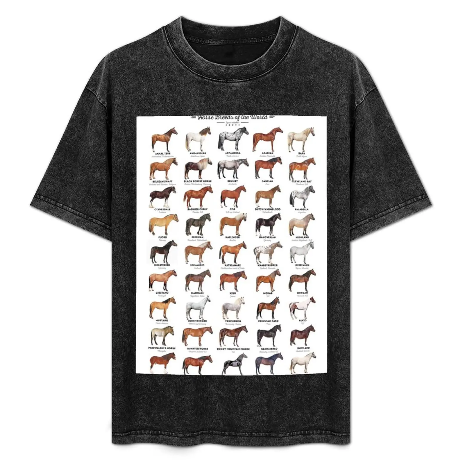 

Horse Breeds Of The World T-Shirt Soft Cotton Print T-Shirt