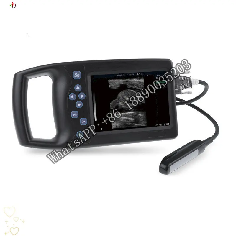 

Hot Selling B/W Laptop Ultra Sound Portable Ultrasound Device Scanner Machine For Sale