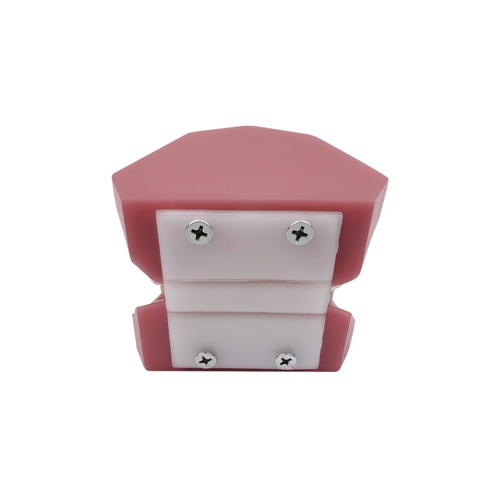 

Невидимый фиксатор стоматологии, металлический кронштейн, ортодонтическое лечение, стоматологическая модель для студентов-стоматологов, обучающая практика