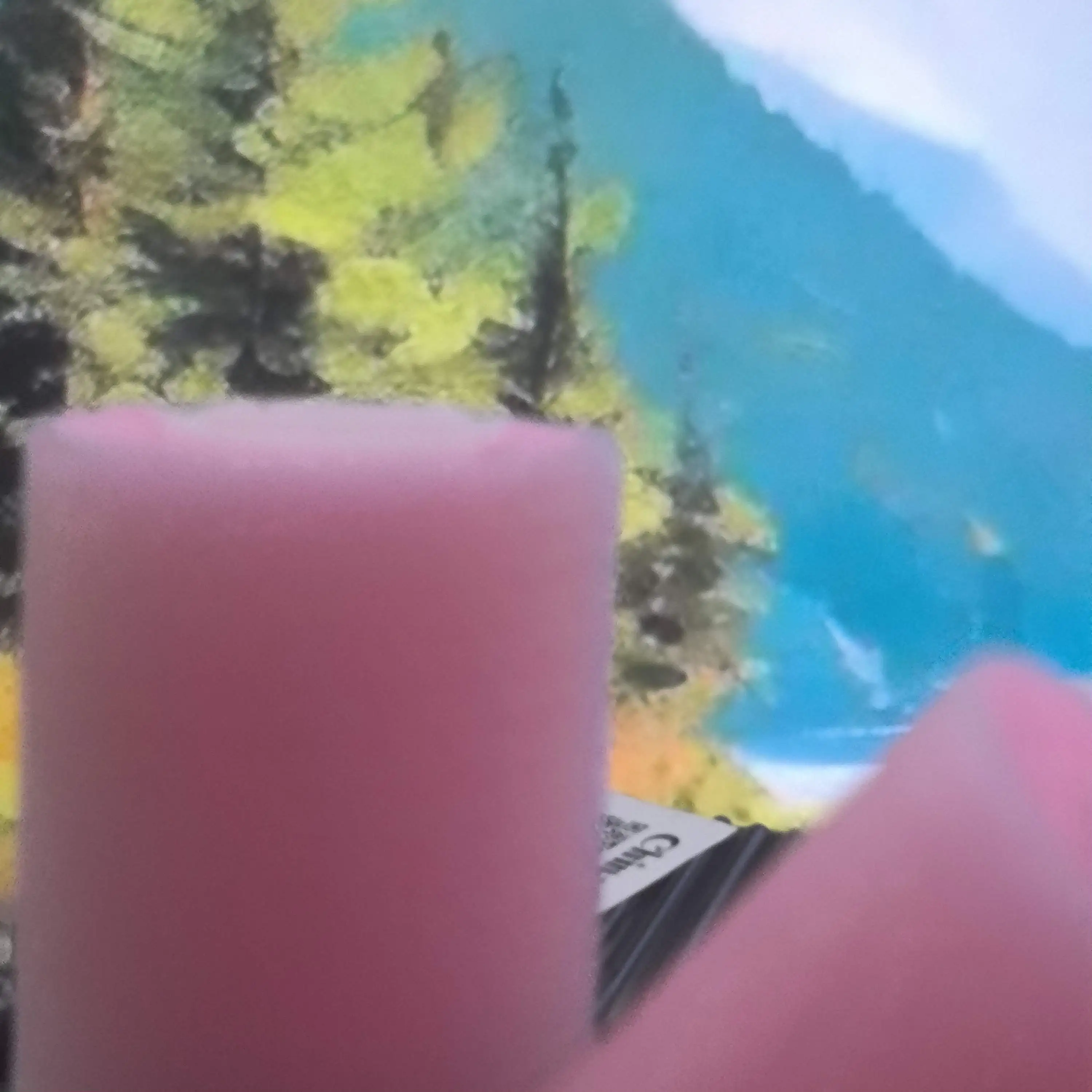 

10 шт. разделительный ролик с длительным сроком службы FC5-2528-000 для использования в Canon ADV6055 6065 6075 6255 6265 6275 8105 8095 8085 8205 8295 8505