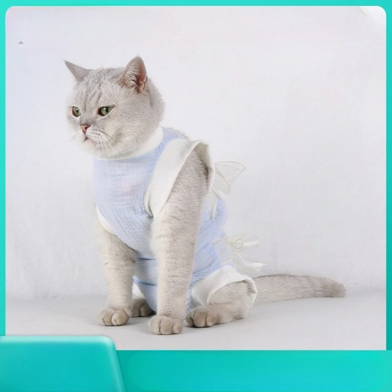 New Cat Postoperati…