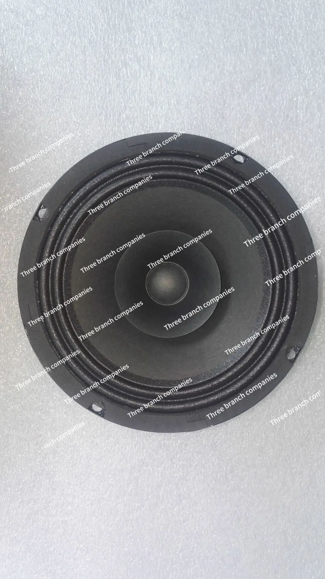 

6.5 Inch Paper Basin, Cloth Edge Tweeter Cup, Fever Full Range Speaker