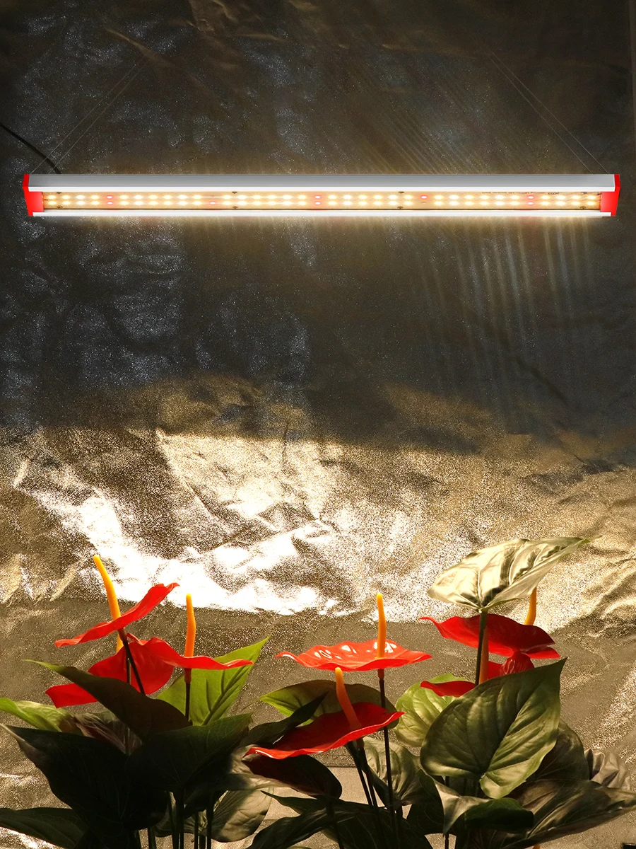 LM283B AC220V LED مصباح النمو الطيف الكامل مصباح النبات شتلات النبات مقاوم للماء زهرة منزل خيمة النمو صندوق