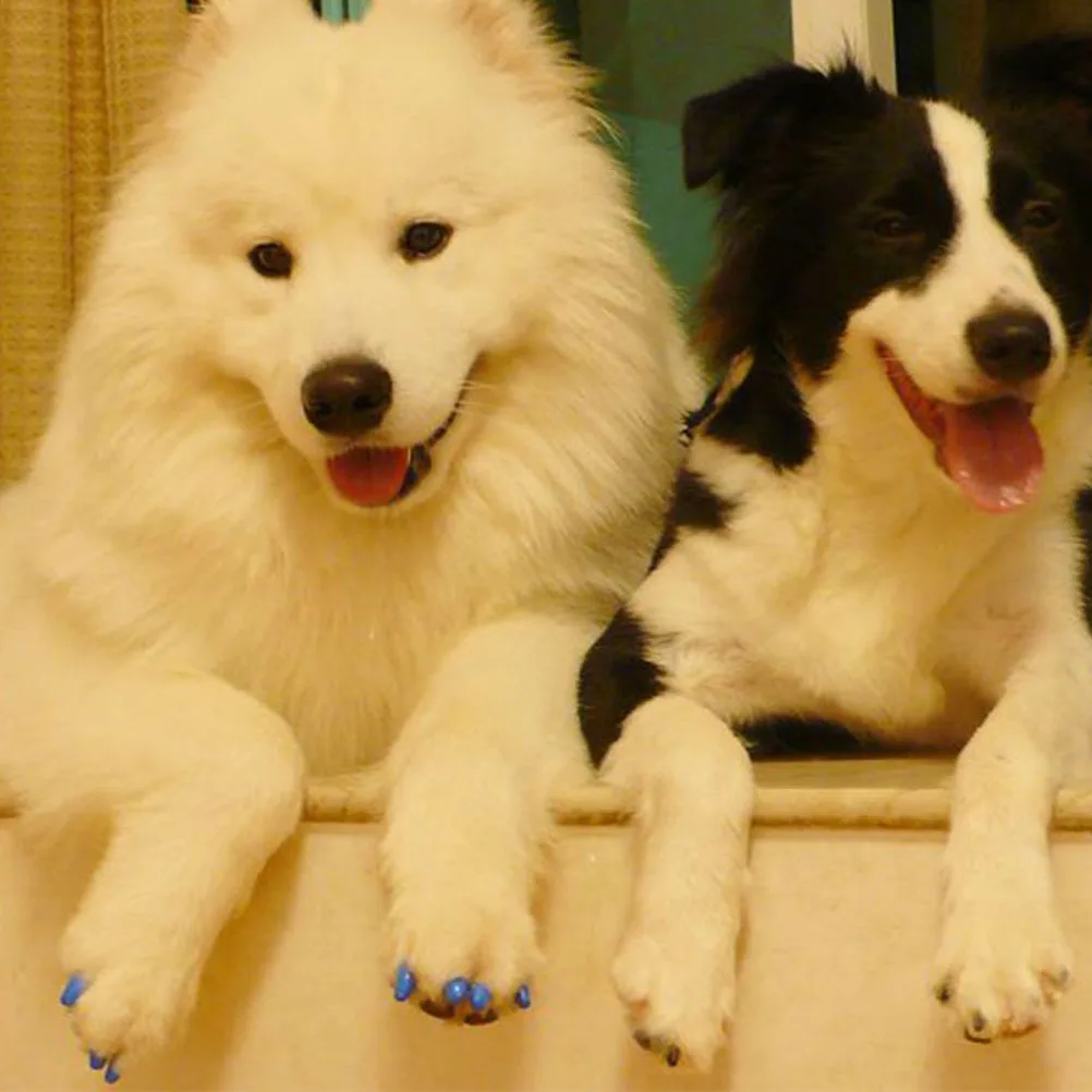 20 Pcs Cat Nail Pro…