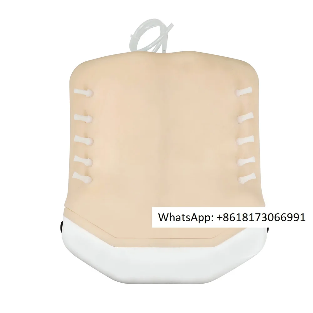 Intervertebral Foramen UBE Training Back Model, Underwater Operation, High Simulation of Lower Back