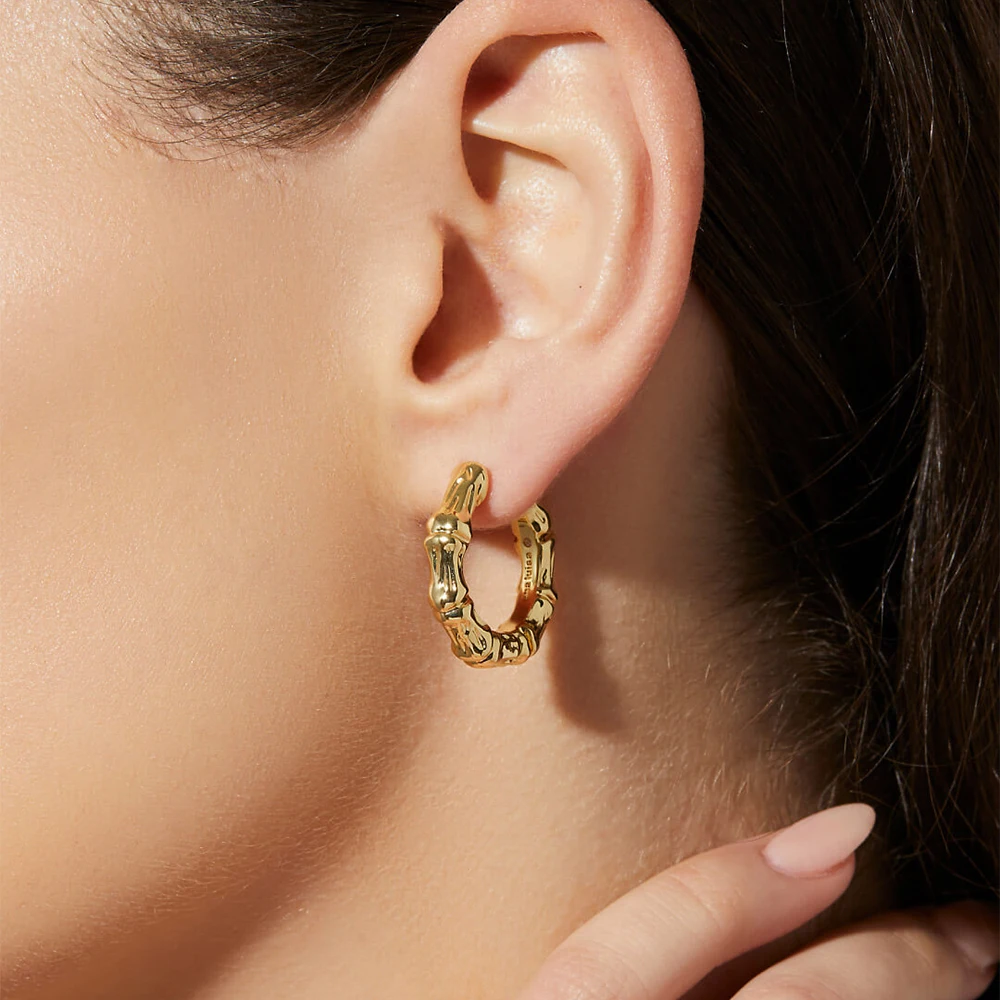 Punk Gold Color Bamboo Chunky Round Hoop Earrings for Women Geometric Stainless Steel Metal Ear buckle Hip Hop Party Jewelry