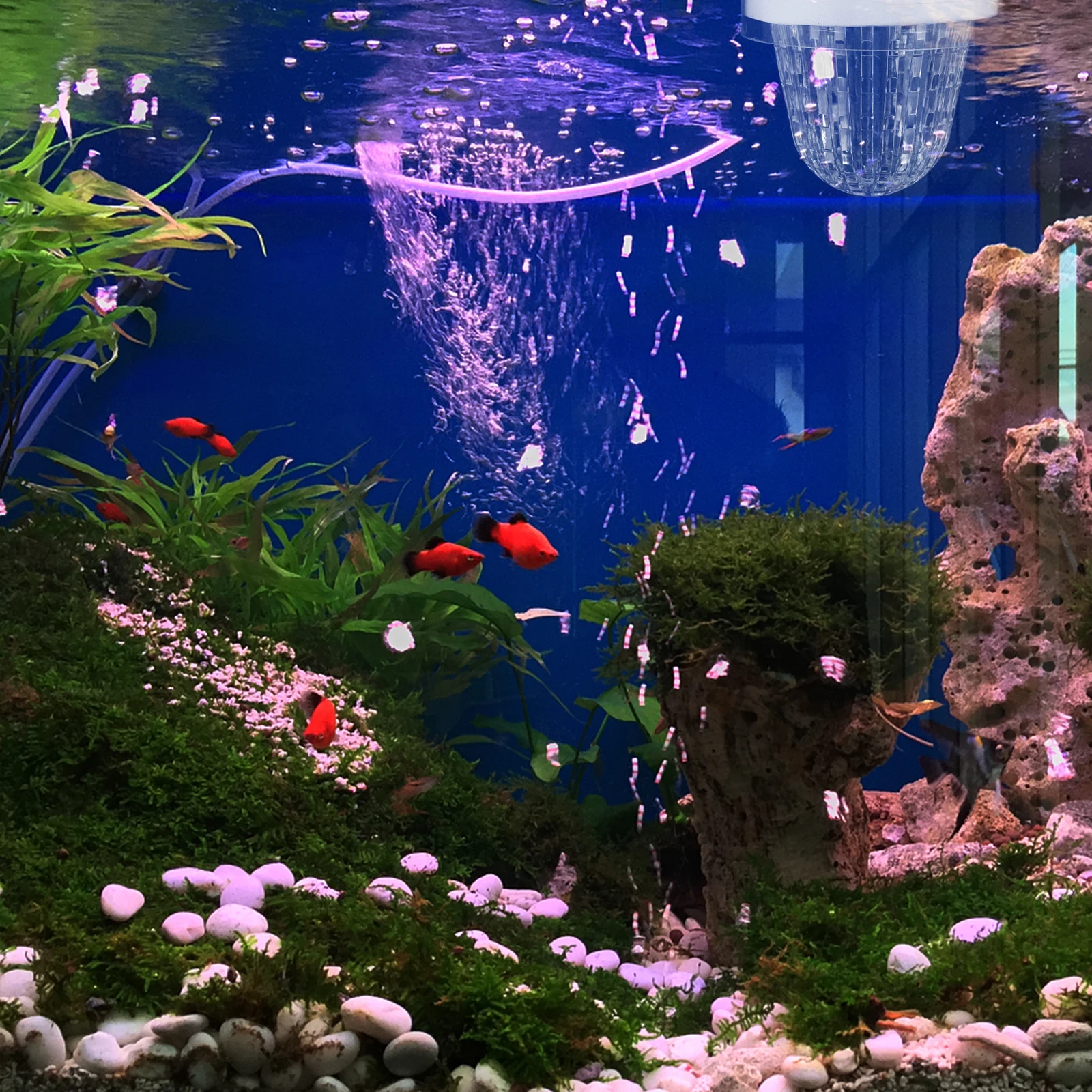 

Fish Tank Isolation Box Aquarium Breeding Case for Guppy Fish Fry Hatchery Incubator Container Plastic Separator