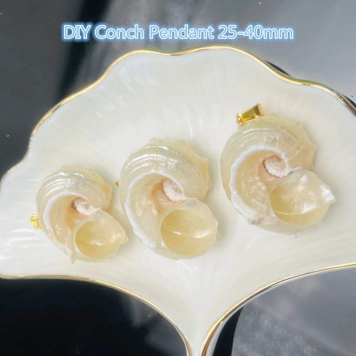 

10Pcs Conch Pendant Natural White Shell Conch Pendant 25-40mm For Jewelry Making DIY Necklace Earrings Bracelet Accessory