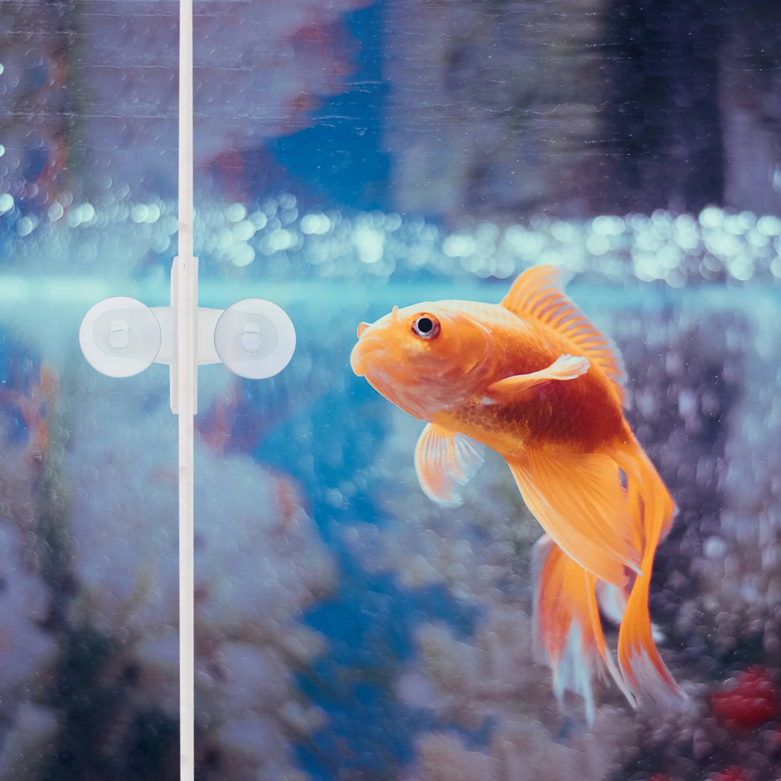 

5Pcs Fish Tank Glass Clip Isolation Net Suction Cups Aquarium Divider Clamps Strong Load Bearing Aquarium Tools