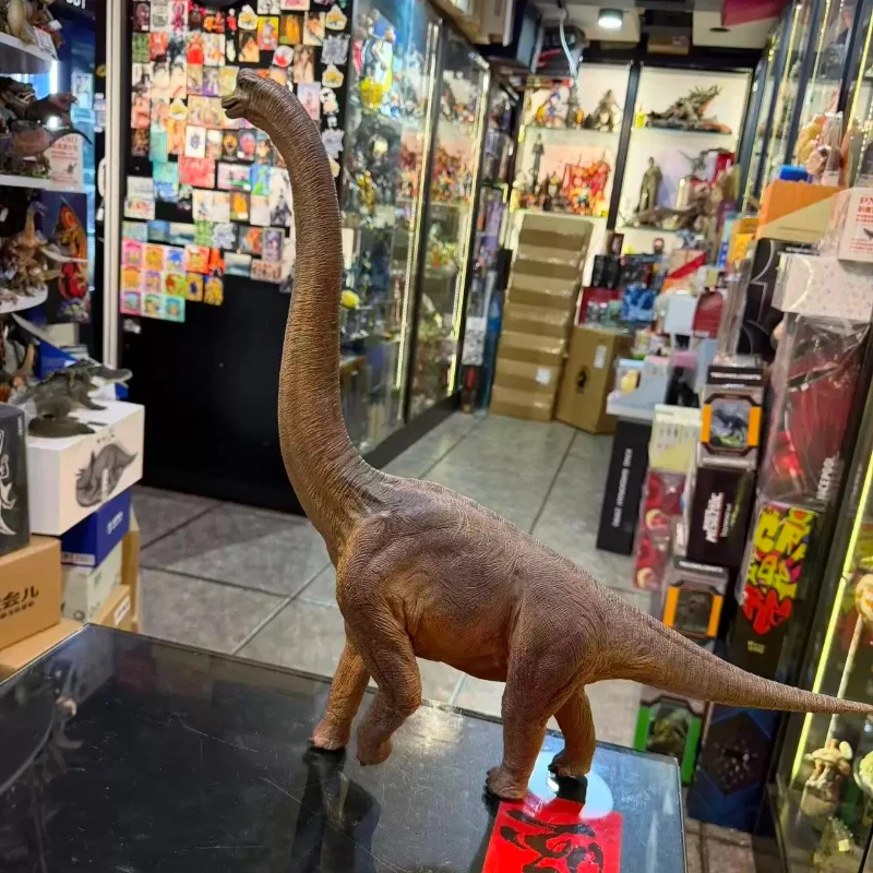 In Stock Wdragon Brachiosaurus Giraffatitan Dinosaur 1/35 Scale Pvc Satue Model Sculpture Museum Collection Toy For Kids