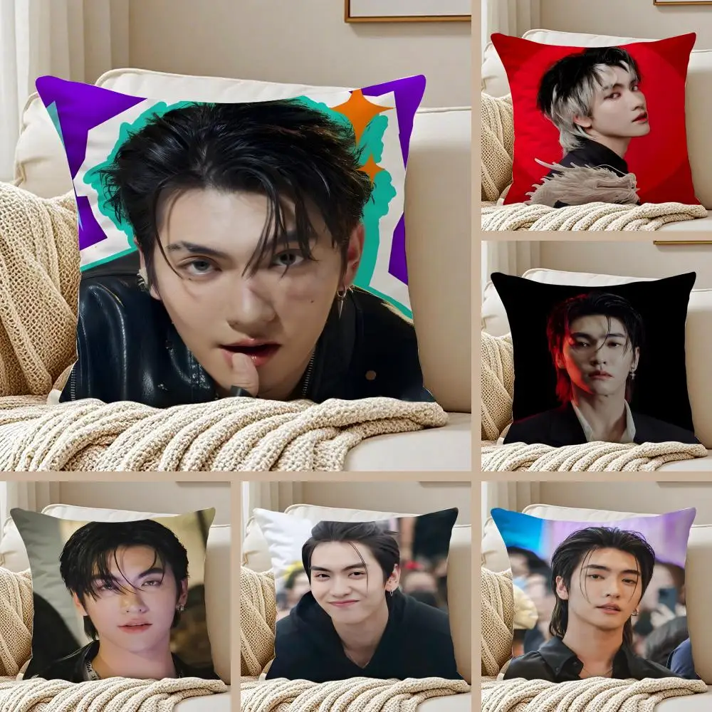 

Наволочка для подушки с изображением красивого тайского актера B-Boss Chaikamon, защита от пылевых клещей, невидимая молния, короткий плюш, для диванной подушки
