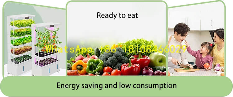 Wachstumssystem mit automatischer Nährstofflieferung für Blattgrüns, intelligentes Hydrokultur-Gemüse im Innenbereich