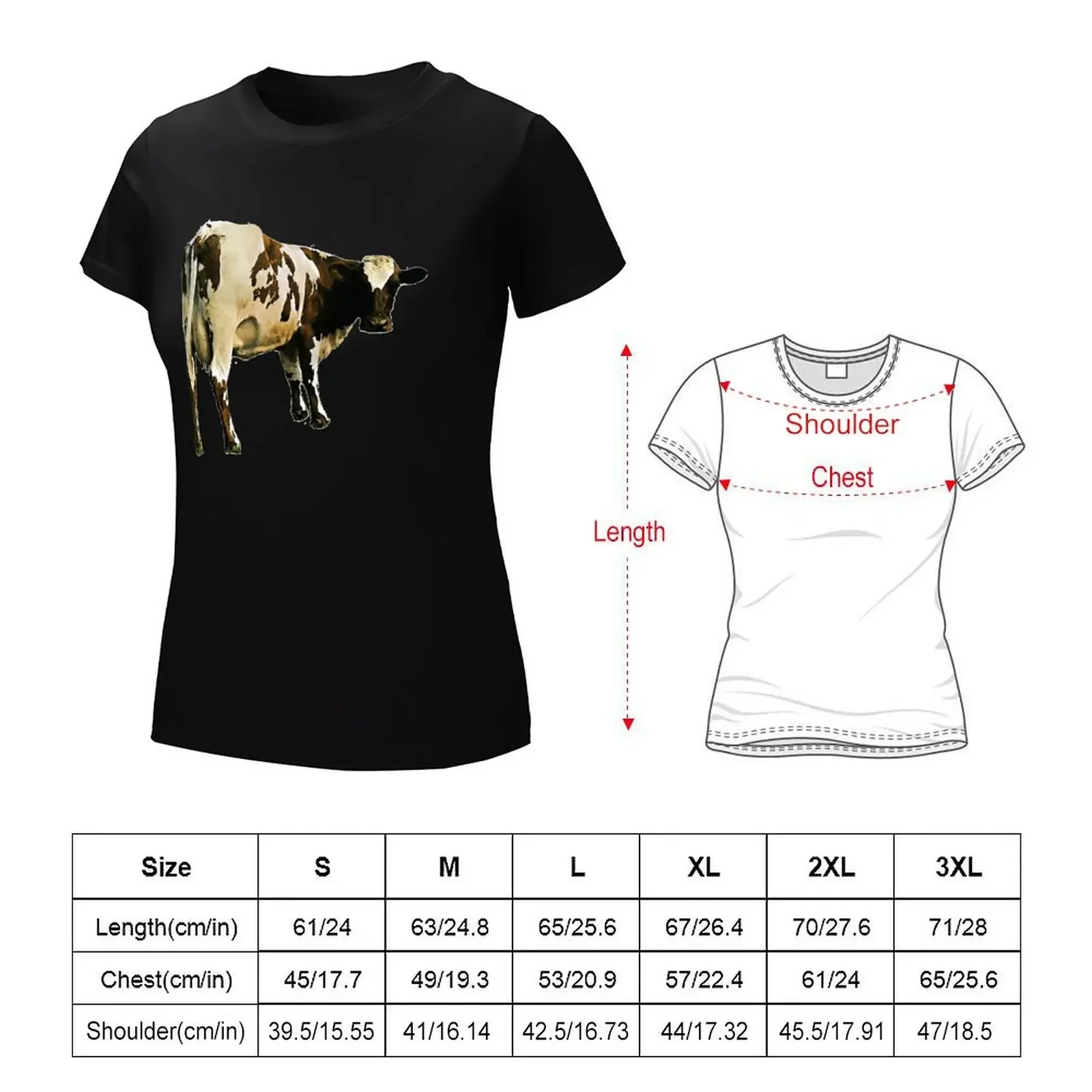 Atom Heart Mother Classic T Shirt T-shirt cute clothes graphics tshirts for Women