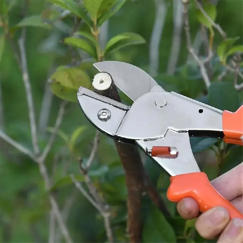 Imagem -05 - Tesouras de Poda de Aço Jardim Podador Tesoura Árvores Frutíferas Jardinagem Poderosa Secateurs Ferramentas Manuais Acessórios do Jardim 1pc Sk5