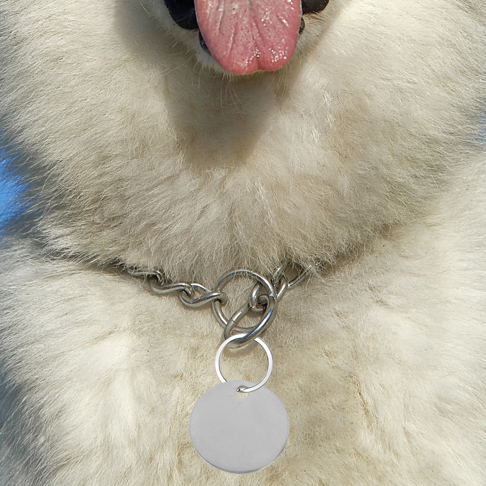 

10 Stainless Steel Dog Tags 20MM Blank Pet ID Stamping Blanks for Engraving Jewelry Pendant Tag Supplies