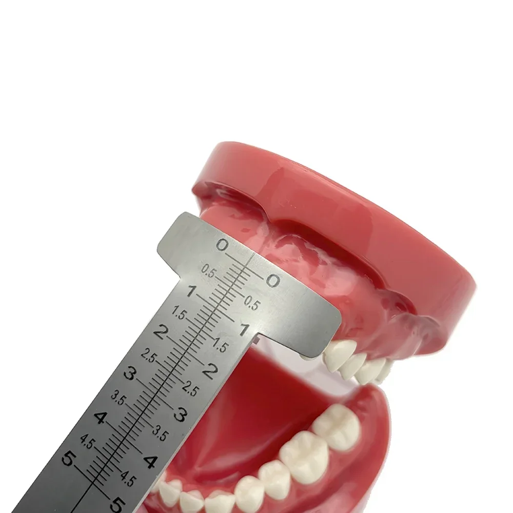 

Dental Stainless Steel Ruler Dental Papilla Gauge Papillameter Stainless Steel Measuring Lip Ruler Dentist Tools