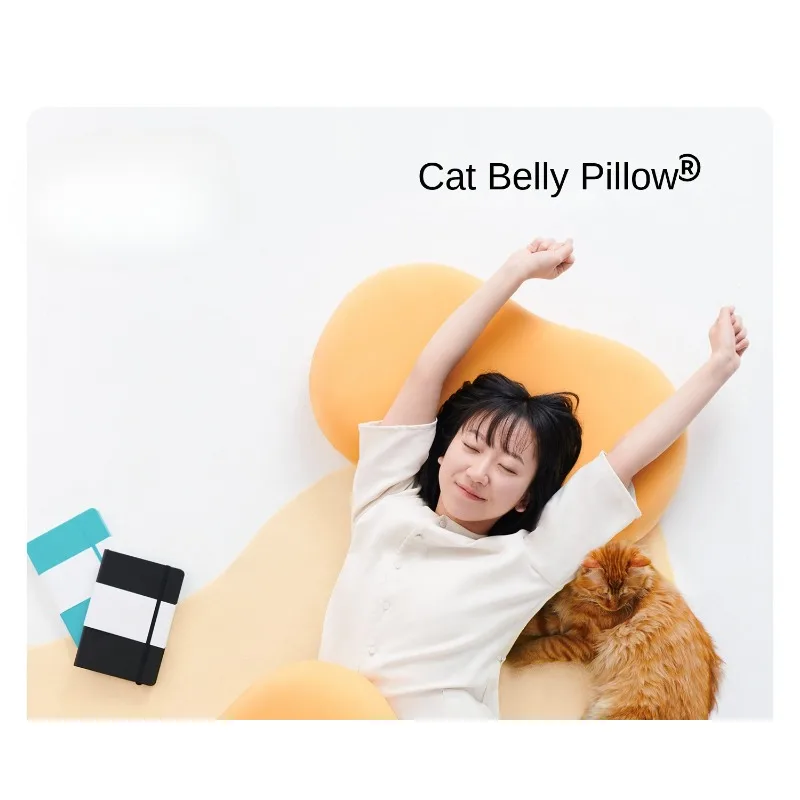 

Memory Foam Pillow with Cat Belly Skin, Neck Support Soft Pillow Core for Adult Students Side Sleeping