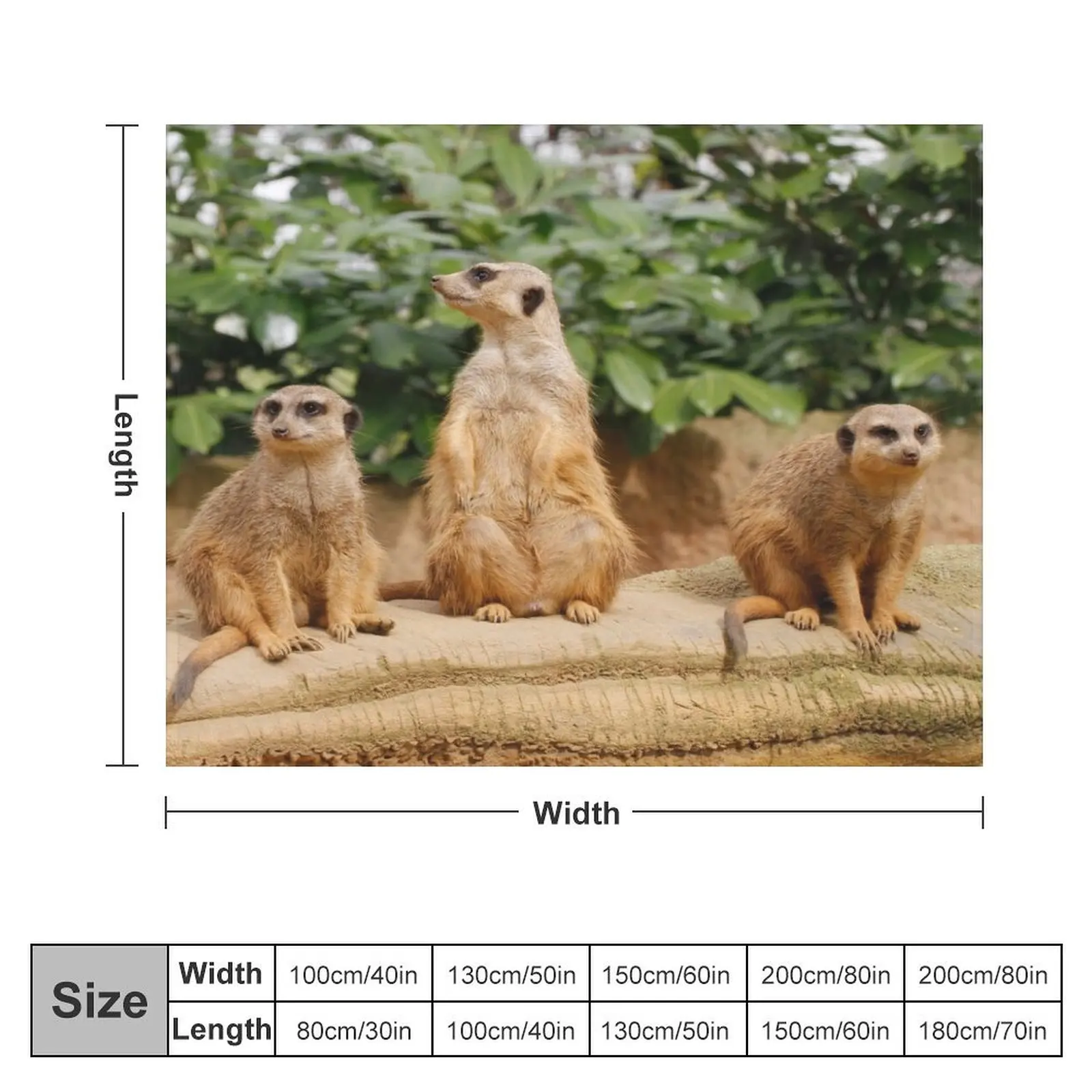 Meerkat 008 Throw Blanket Polar Sofa Throw Designers Heavy Blankets