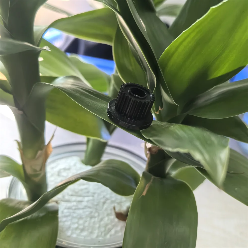 2Pcs Original 005K0…