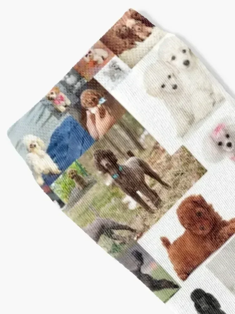 Poodle collage Socks valentine gift ideas cool Socks Woman Men's