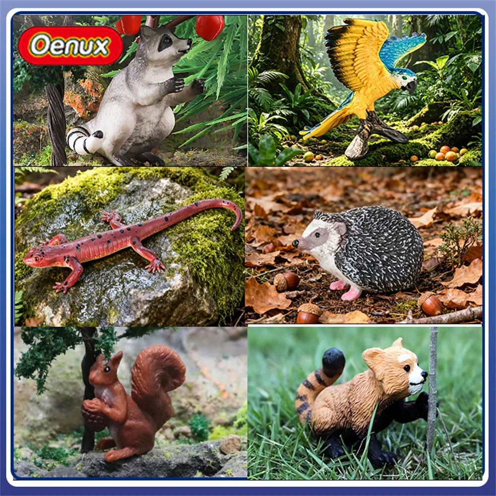 Oenux 9 Styles Realistic Nautilus Figurines Multi-color Chambered Nautilus Model Ancient Marine Animal Statues for Collection