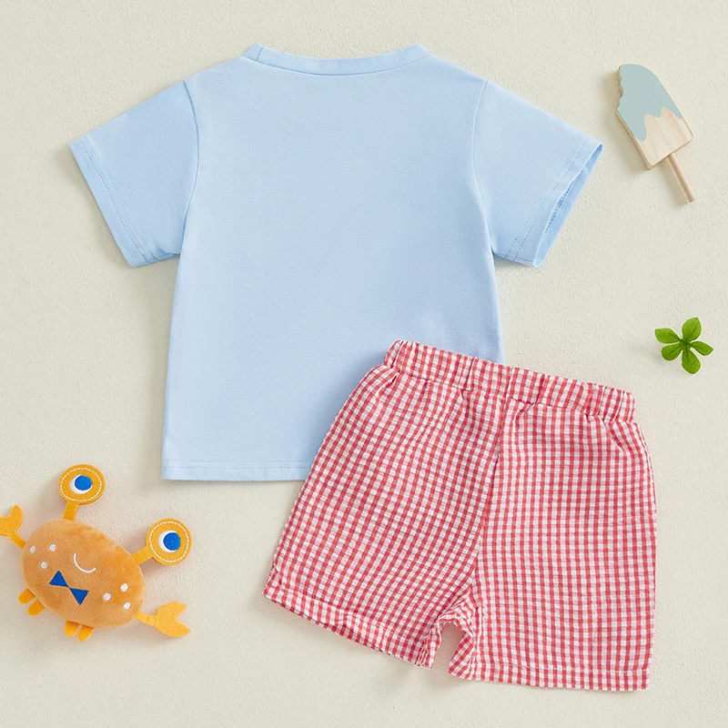 Летняя одежда для маленьких мальчиков, футболки с вышивкой краба и круглым вырезом, клетчатые шорты с эластичной резинкой на талии, комплект одежды из 2 предметов