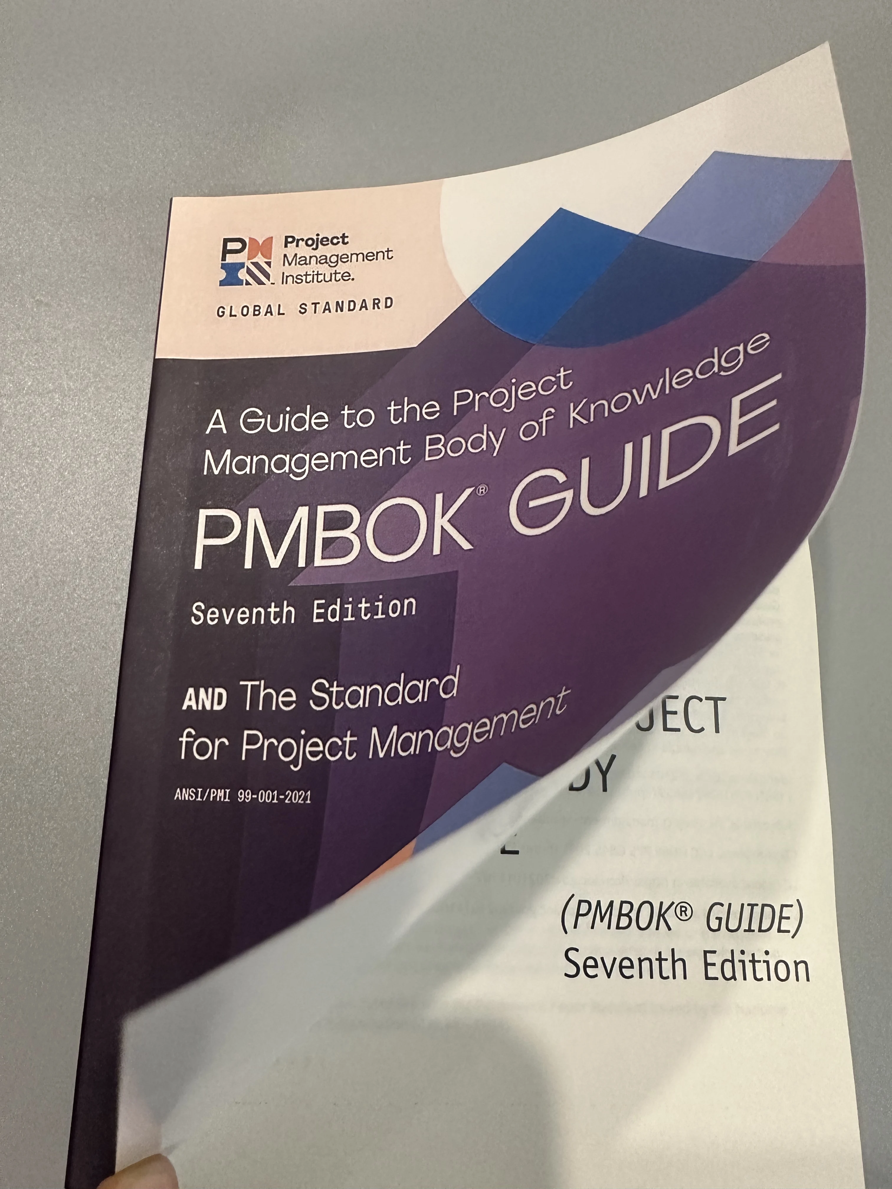 

A Guide to the Project Management Body of Knowledge