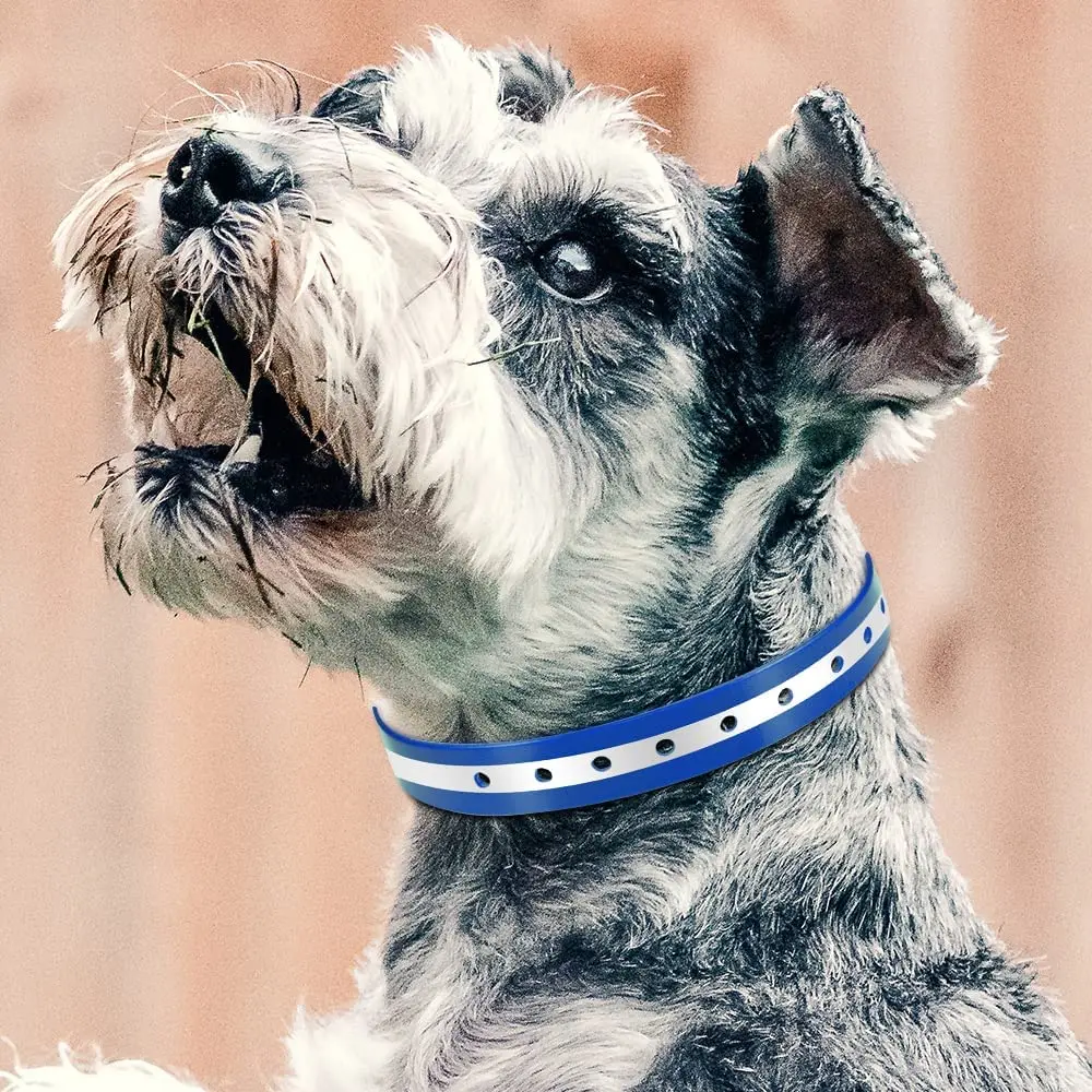 Dog Collars Strap, Replacement Collar for Shock Reflective Blue & Orange TPU Collar, Adjustable Classic Dog Collar Strap