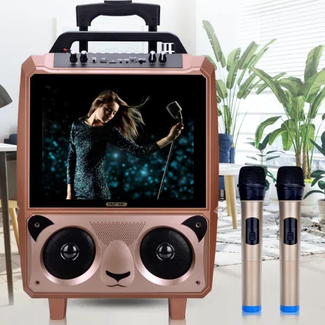 شاشة عرض كاريوكي على شكل باندا مقاس 15 بوصة، نظام بلازا للرقص المنزلي، مكبر صوت فيديو مع عجلة عربة #3