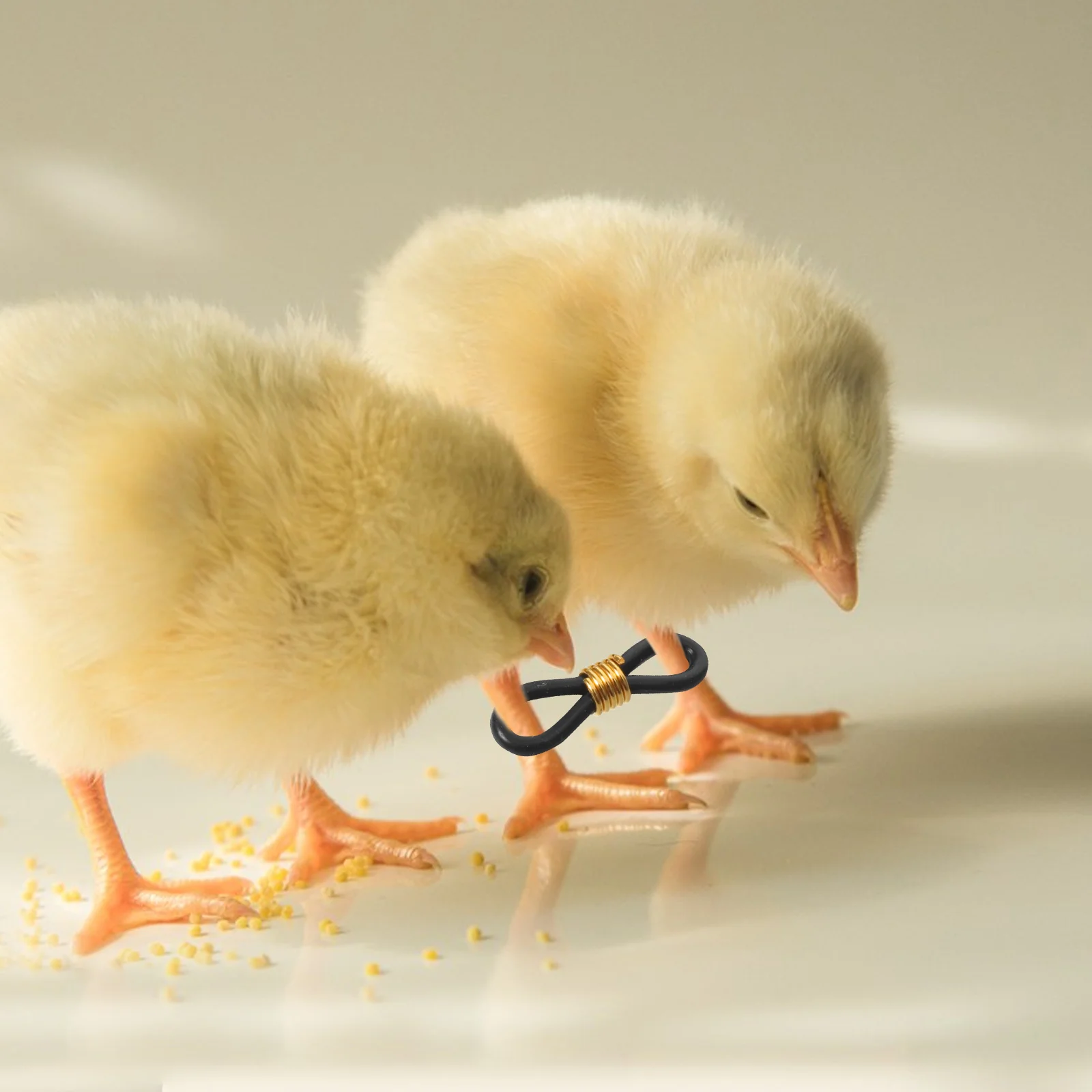 100 قطعة العصابات الساق الفرخ قابل للتعديل Splay الساق Hobble الأقواس للدجاج الدواجن الطيور السمان دعم جهاز مصحح أداة #6