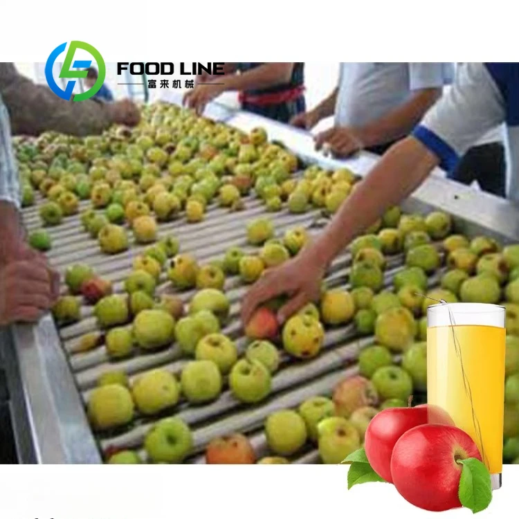 Commercial Apple Juice Making Line Integrated Processing Unit For Apple Sorting Washing Juicing And Aseptic Filling Operation