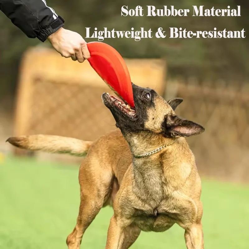 Duurzame zachte hondenfrisbee, - Flying Disc Dog Training Toy recensie en prijs