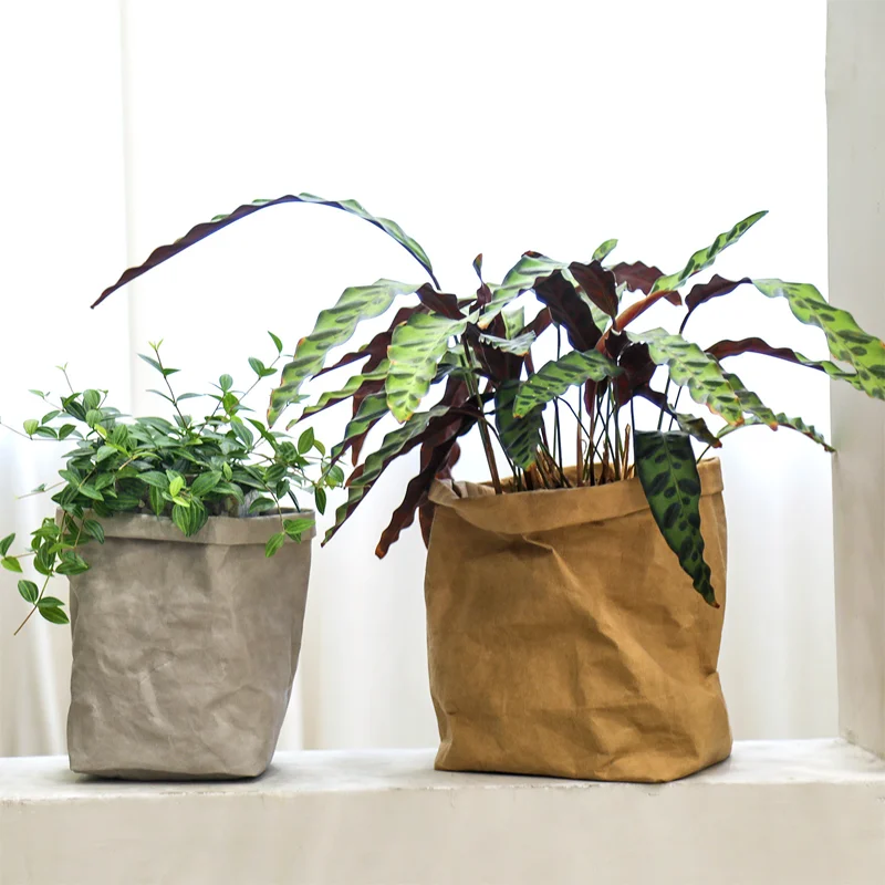 Scandinavian plant pot cover dried flowers soft decorative greenery washable kraft paper bag flower pot ins style storage bag