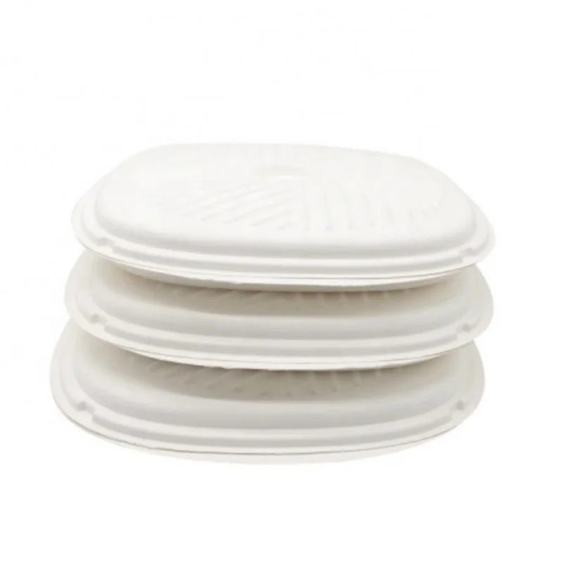 Customized productWholesale Biodegradable Food Grade Takeaway Oil-proof Sugarcane Bagasse Round Pizza Box with Lid