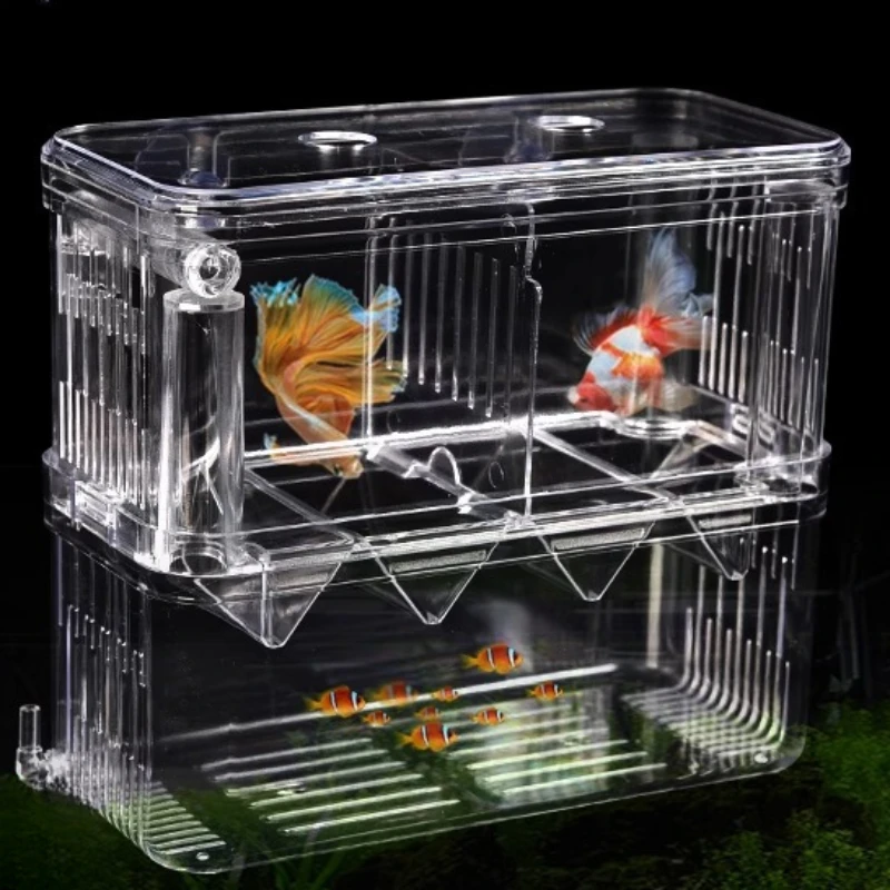 Akrylowe 3 rozmiary Dwupokładowe przezroczyste pudełko izolacyjne do hodowli ryb Przegroda wylęgarni dla krewetek Clownfish Agresywne rany ryb