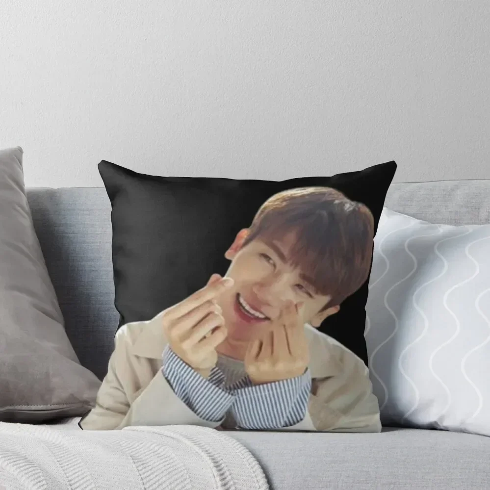 Park Hyung Sik - V33 Throw Pillow Pillow Cover Pillowcases Bed Cushions pillow