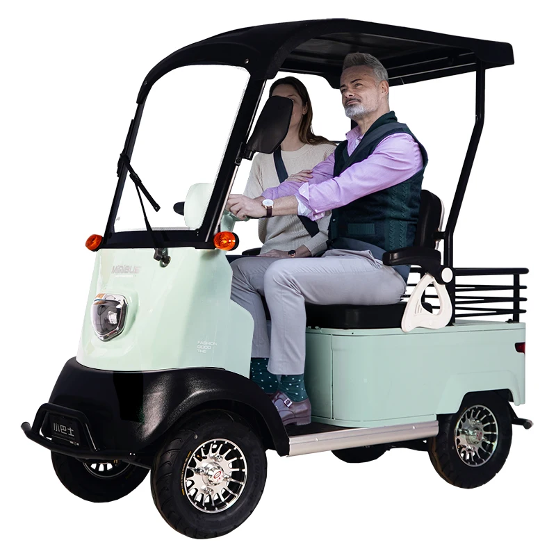 

MinibusX2 Four Wheeler Canopy Twoseat Multiple Uses Elderly Disabled Sightseeing Rides 650w Motor Electric Scooter