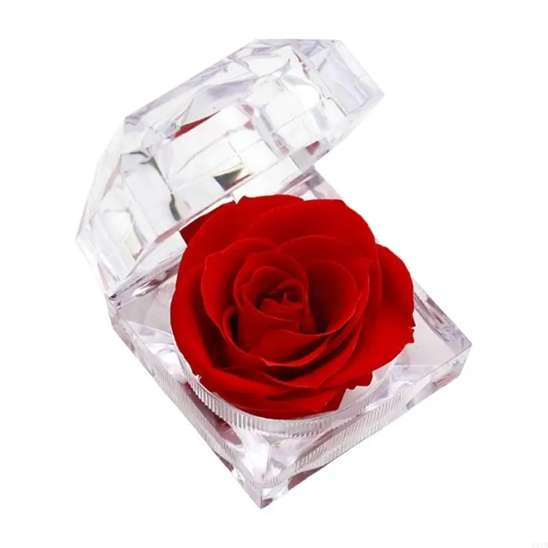  ABS Preserved Roses Jewelry Storage Solution for Consumers Seeking Practical and Aesthetic Organization