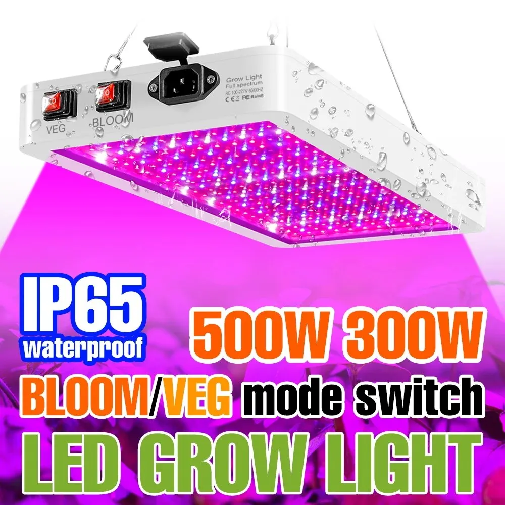 LED Grow Light Full Spectrum Quantum Board Plant Lamp Indoor Hydroponic Flower Seeds Greenhouse Vegetable Growth Box Cultivation