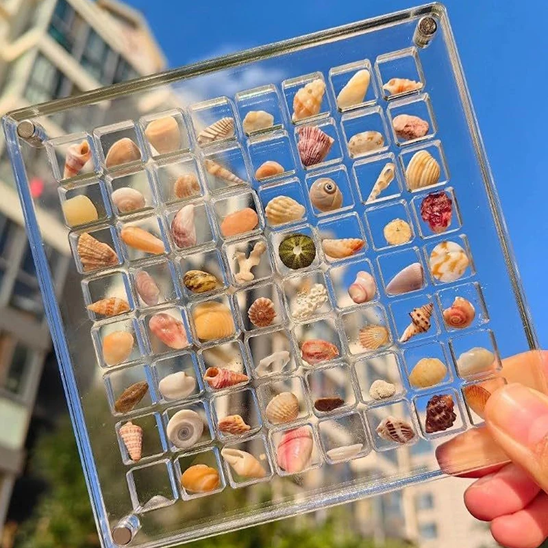 36/64/100 Grids Desk Organizer Acrylic Seashell Display Box with Magnets Starfishs Trinket Storage Case for Bead Nail Jewelry