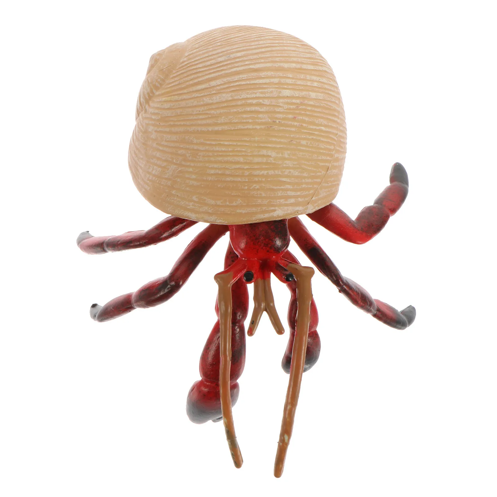 

Premium Realistic Hermit Crab Plastic Figure for Kids Science Learning Home Decoration Kindergarten Party Marine Animal