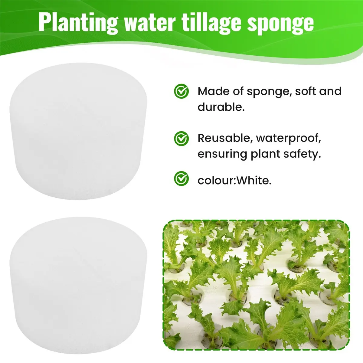 AA83 50 pièces Éponges hydroponiques hors-sol, Système de culture hydroponique sans terre pour légumes, Outil de jardinage pour serre 50 mm