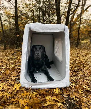 Outdoor Foldable Inflatable Dog Travel Crates Kennel Pet Cages Large Dog Cage for Sale