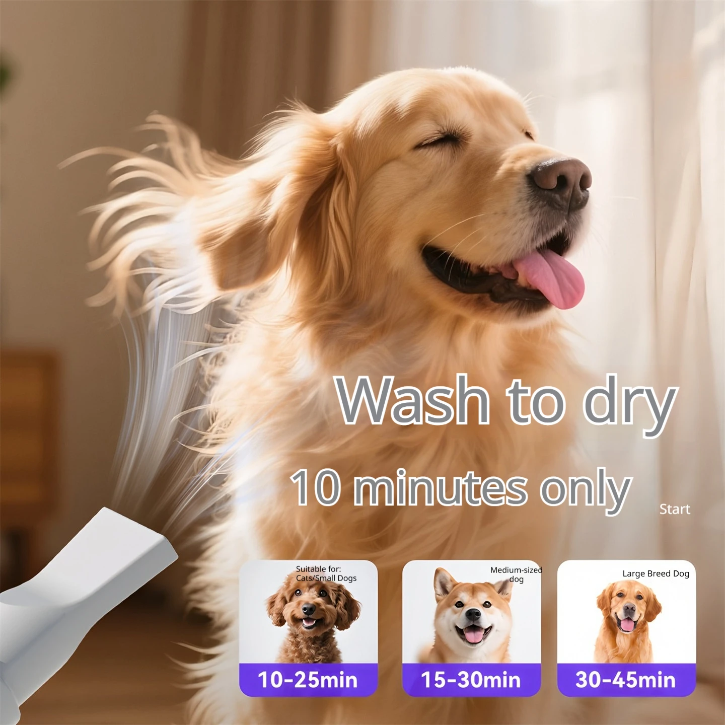 Shenbao Pet Hair Dryer Vacuum 2 In 1 Blowing Suction Negative Ion Low Noise Wall Mountable Multi Function For Dogs Cats