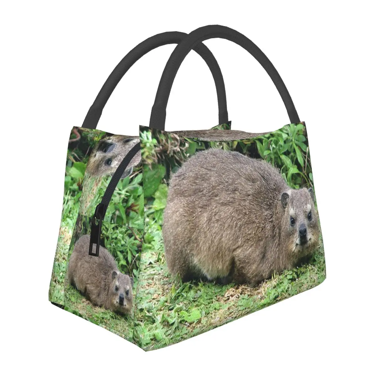 Dassie Rock Hyrax Table Mountain South Africa Lunch Bags Bento Box Lunch Tote Picnic BagsThermal Bag for Woman Student Office