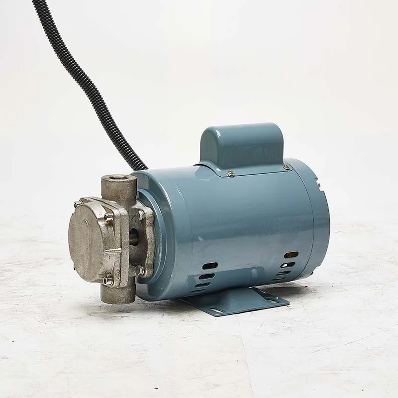 Cast iron fryer hot oil pump hot selling edible oil filter pump