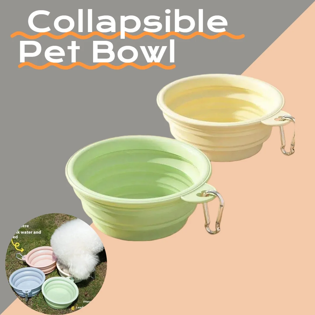 #1 Collapsible Puppy Bowls Discount Picks