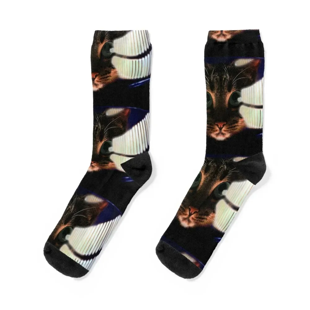 My God..Its full of Catnip! Socks anime happy hiphop Socks Girl Men's