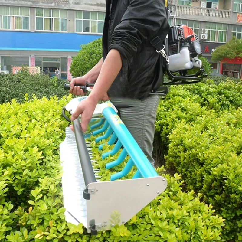 

Small New Gasoline Tea Machine 8-hole Bag Garden Tools Wholesale And Retail