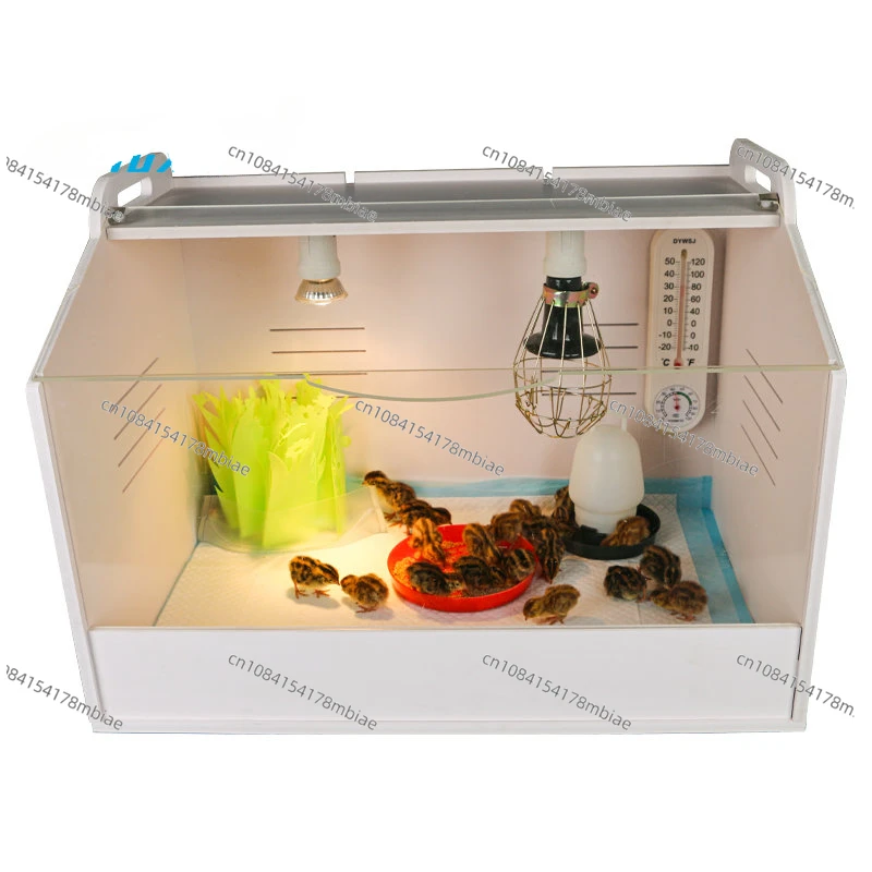 

Куриный Брудер среднего размера, коробка для разведения птиц